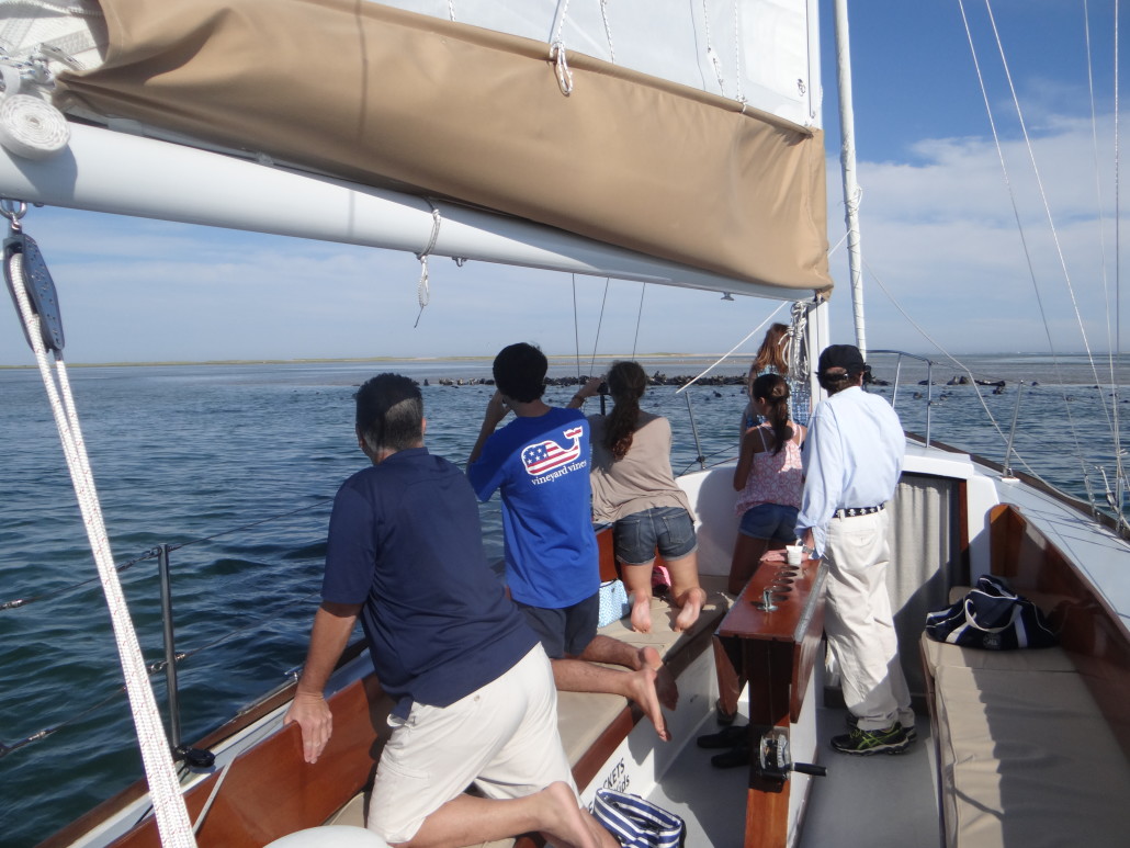 DSC03508 Down Cape Charters & Boat Rentals