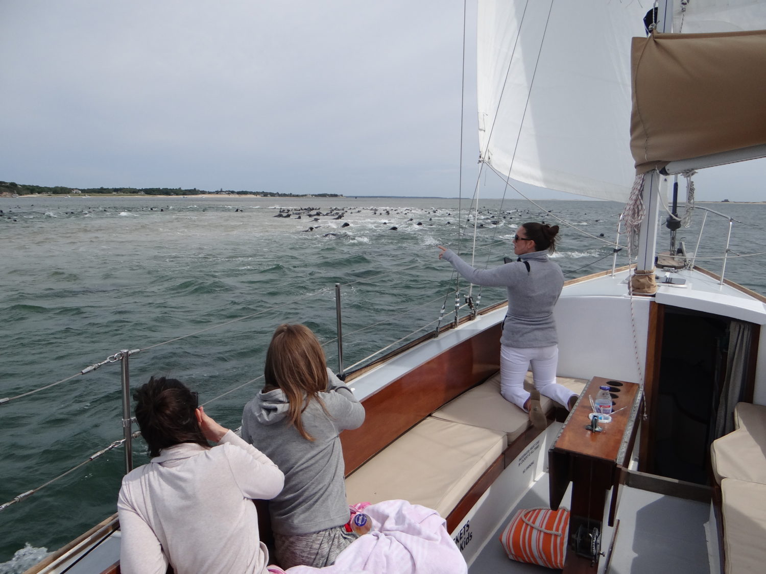 DSC04855 Down Cape Charters & Boat Rentals
