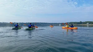 Kayakers exploring Chatham harbor