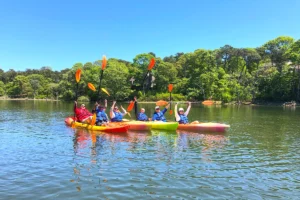 Group of Kayak Renters exploring Cape Cod